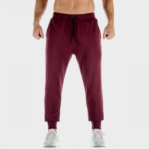 SQUATWOLF Tepláky Lab 360 Joggers Tawny Port S