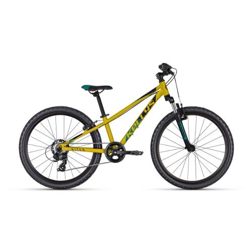 Kellys KITER 50 24" - model 2024 Yellow - 11" (125-145 cm)